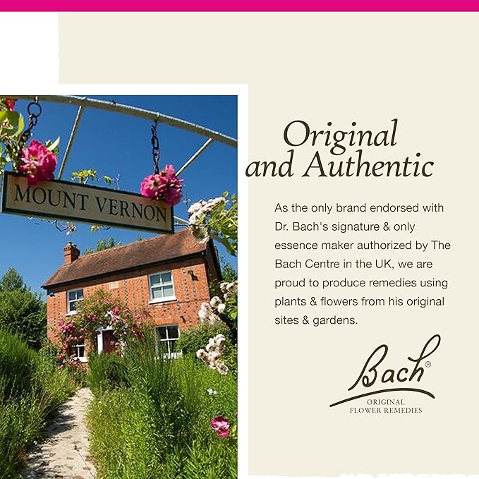 Bach Original Flower Remedies, Sweet Chestnut - Be Optimistic - Natural Homeopathic Flower Essence for Emotional Balance - Vegan, Gluten Free, Sugar Free - 20mL Dropper