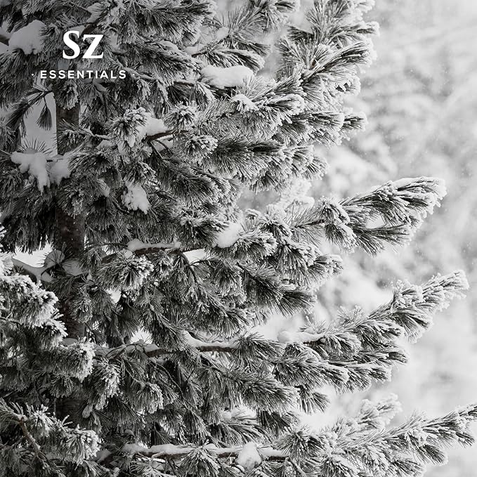 Silver Pine Essential Oil - 100% Pure & Undiluted- Extracted from Pinus Sylvestris - Clean & Fresh Scent with Woody Overtones - Therapeutic Grade & Vegan - 0.17oz (5ml)