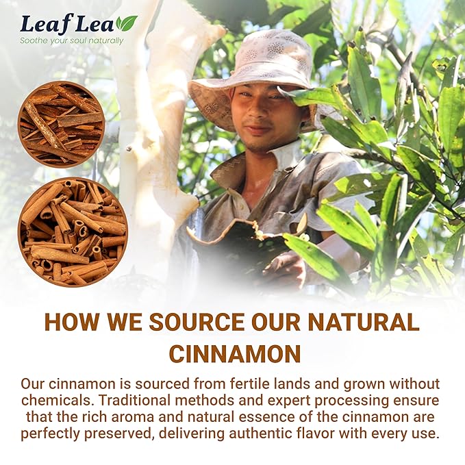 LeafLea 120 Cinnamon Tea Bags, Premium Herbal Tea with Ground Cinnamon Sticks, Spiced and Soothing Flavor for Relaxation, Caffeine-Free, Sugar-Free, Non-GMO, Vegan
