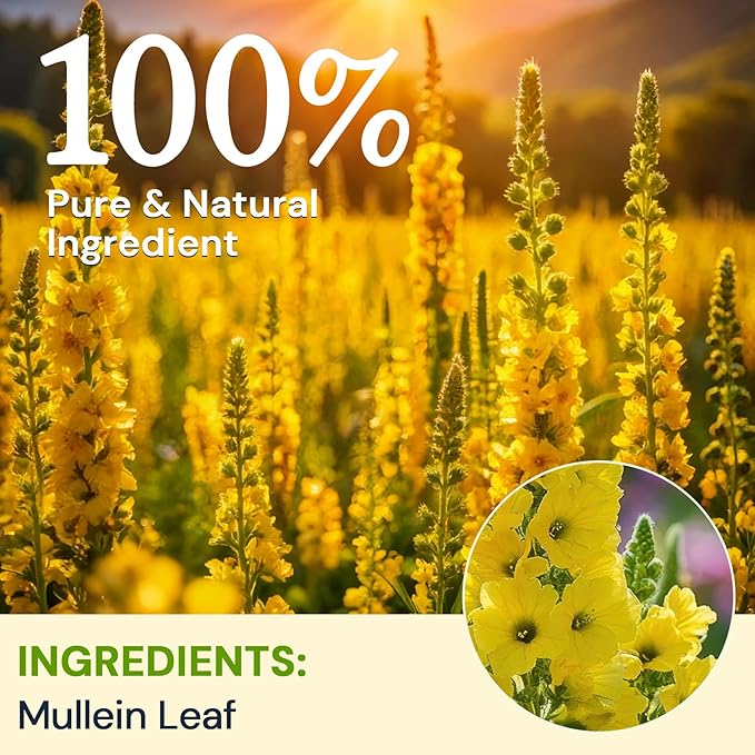 Hiihone Mullein Leaf Tea Bags for Lung Support, 80 Tea Bags, 100% Natural Herbal Tea from Mullein Leaves, Caffeine Free, No Sugar, No Additives