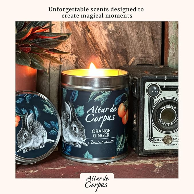 14 Oz Strong Scented Candles Long Lasting – Orange Ginger Candle - High End Luxury Candles for Home - Cute Candles for Women - Soy Wax Premium Blend - Decorative Candle for Men Gifts