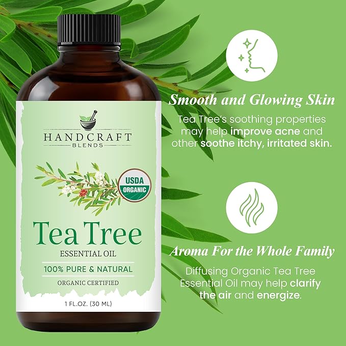 Handcraft Blends Organic Tea Tree Essential Oil – 1 Fl Oz – 100% Pure and Natural – Premium Grade Essential Oil for Diffuser and Aromatherapy