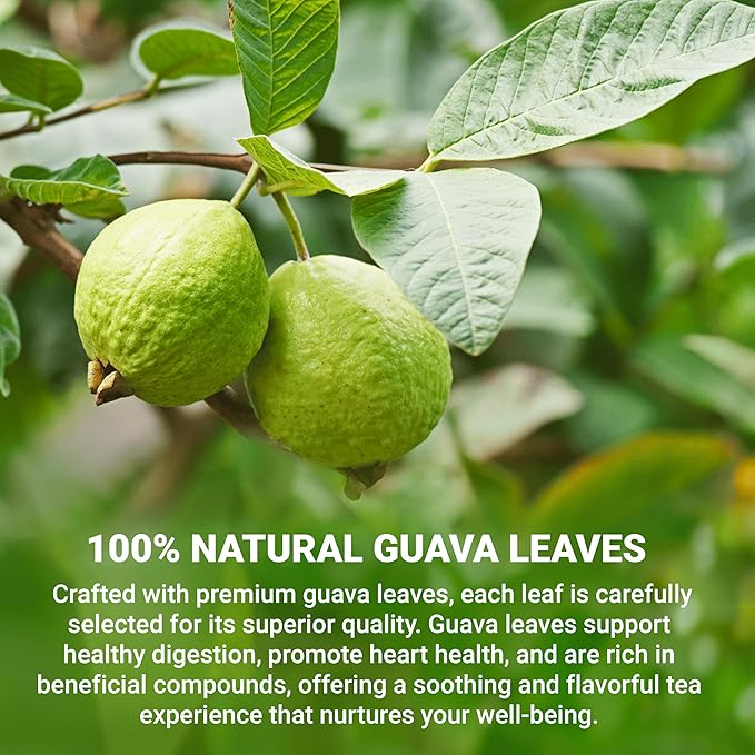 LeafLea 120 Guava Leaf Tea Bags, Premium Natural Herbal Tea, 100% Hojas De Guayaba, Caffeine-Free, Non-GMO, Supports Digestion & Immune Health, Packed with Natural Goodness