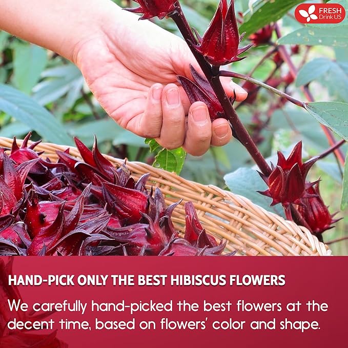FreshDrinkUS, Premium 235 Hibiscus Flowers Tea Bags, 100% Natural, Pure from Hibiscus Flowers. Loose Flower Herbal Tea. No Sugar, No Caffeine, No Gluten, Vegan.
