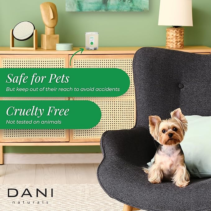 DANI Naturals Soy Candle - Bamboo Bergamot Scented, Kosher, Non-Toxic, Long-Lasting Pure Soy Candle - 7.5 oz