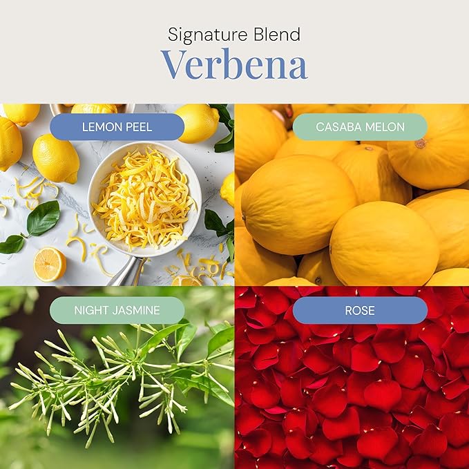 Verbena Aroma Oil, Essential Oils Blend for Diffusers & Scent Machines, Citrus, Floral, and Green Fragrance, Aromatherapy, Cold Air Diffuser Compatible, 300 mL