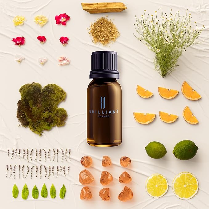 Brilliant Scents Diffuser Oil Refill, Inspired by Wymara Resort Turks & Caicos, Hotel Series Aroma Scents, Essential Oils Set for Home, Fragrance Oil for Candle Making, Home, 50 ML, Island Oasis