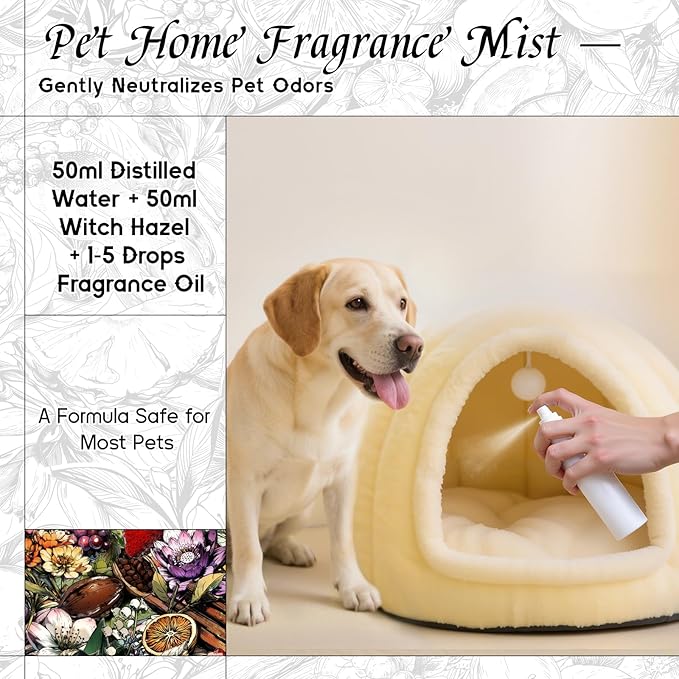 HIQILI Myrtle & Orange Blossom Fragrance Oil for Diffuser, Inspired by D.or Tera-Bella, Candle & Soap Making, Long-Lasting Citrus Floral Scent - 1 Fl Oz