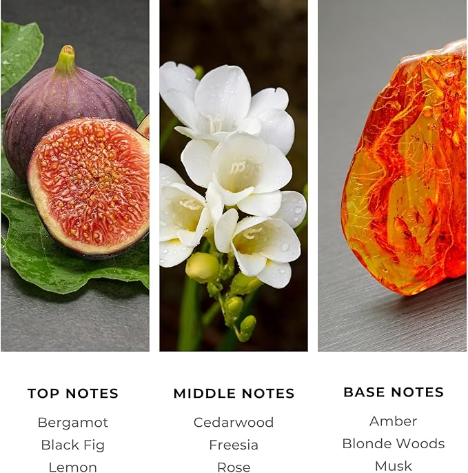 Brilliant Scents Diffuser Oil Refill, Inspired by Edition Hotel & The Noir 29, Hotel Series Aroma Scents, Essential Oils Set for Home, Fragrance Oil for Candle Making, Home, 50 ML, Sugar Beach