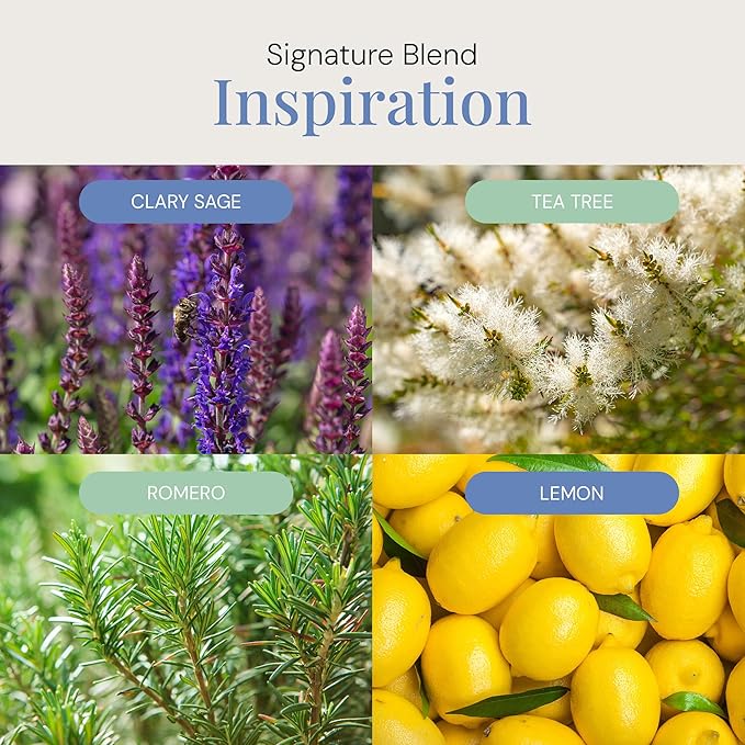 Inspiration Aroma Oil, Essential Oils Blend for Diffusers & Scent Machines, Zesty Citrus & Blooming Florals, Aromatherapy, Cold Air Diffuser Compatible, 300 mL