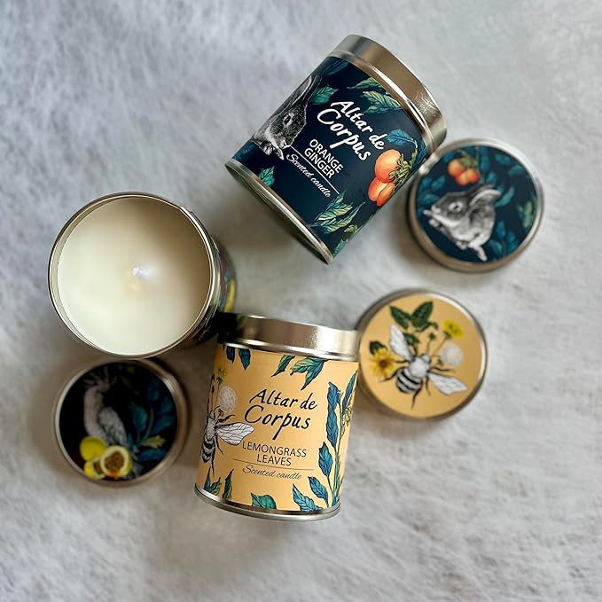 14 Oz Strong Scented Candles Long Lasting – Orange Ginger Candle - High End Luxury Candles for Home - Cute Candles for Women - Soy Wax Premium Blend - Decorative Candle for Men Gifts