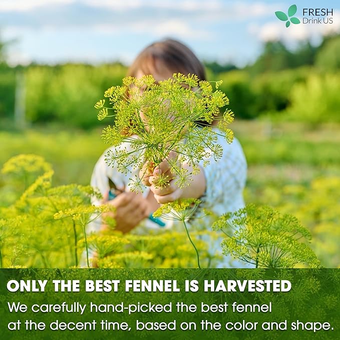 FreshDrinkUS, Premium 75 Fennel Seed Tea Bags – 100% Natural & Pure, Handmade Herbal Tea, Eco-Friendly, Fresh Aroma, Made with Natural Material Tea Bags. No Sugar, No Caffeine, No Gluten, Vegan.