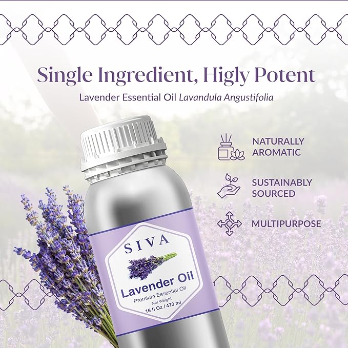 Siva Lavender Essential Oil – 16 Fl Oz – 100% Natural Lavender Oil - for Diffuser, Hair Care, Face, Skin Care, Aromatherapy, Scalp and Body Massage, Soap and Candle Making