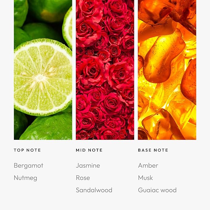 Aroma360 | Disney | Sassy Petals Fragrance Oil Blend | Daisy Duck | Luxury Aromatherapy Scent Diffuser Oil | Bergamot, Rose and Amber 16.9 fl oz, 500 mL