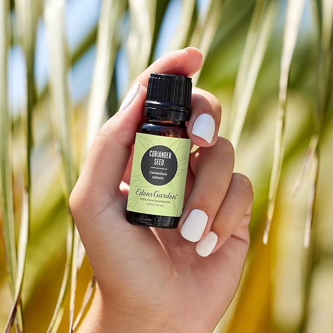 Edens Garden Coriander Seed Essential Oil- 100% Pure Premium Grade, Undiluted, Natural, Therapeutic, Aromatherapy, The Best for Diffuser, Skin, Candle, Kid Safe 30 ml (1 fl oz)