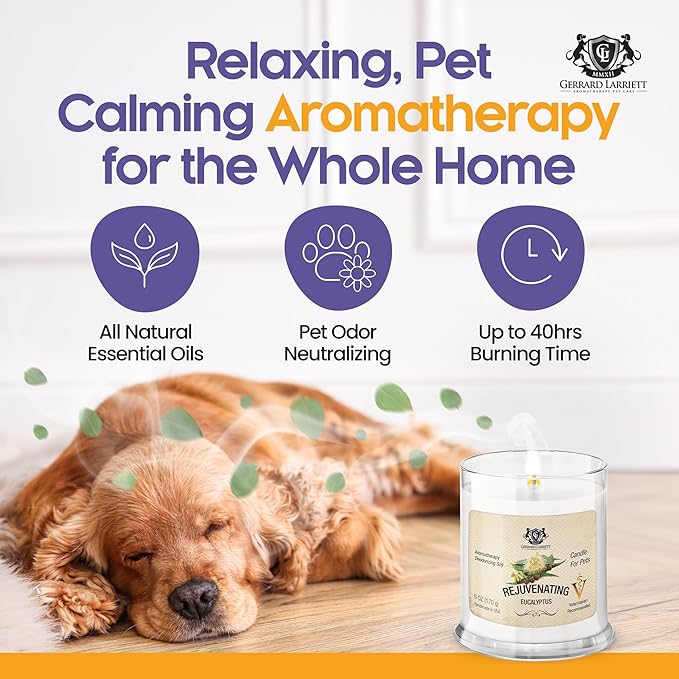 Pet Odor Eliminator Candle Rejuvenating Eucalyptus Scented Candle, Calming Candles Aromatherapy for Home Decor, Soy Wax Pet Candles Odor Eliminator for Animal Lover, Aromatherapy by Gerrard Larriett