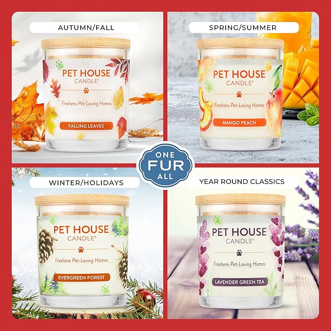One Fur All Pet House Christmas Candles, Long Lasting, Clean Burning, Soy Wax Scented Candles for Pet Odor, Holidays Fur All, 2 Pack