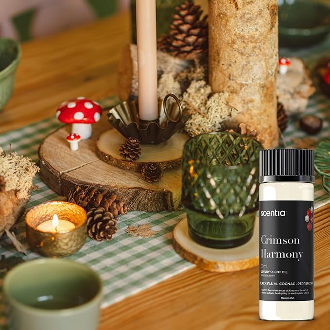 Scentia Fragrance Oil Set for Diffusers & Candle Making – Forest Fresh Pine, Bright Citrus Woods & Warm Gingerbread Bakery – 3 Aromatherapy Scents, 20ml DIY Craft Gift Set, Made in USA