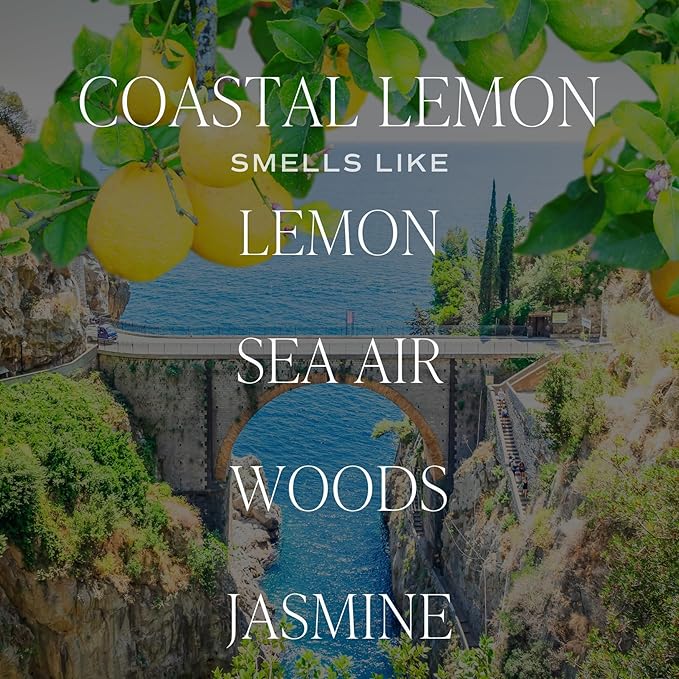 Sweet Water Decor Coastal Lemon Scented Candles - Soy Candles with Lemon, Sea Salt, & Driftwood for Home Decor - Candle Wax with 50 Hours Burn Time - 11Oz Wood Lid White Jar Candles for Home Scented