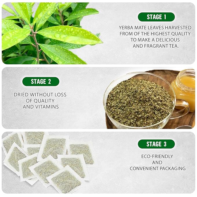 Yerba Mate Tea - Green Cut & Sifted - Unsmoked Energy Boost - 400 Tea Bags - Packed with Nutrients - Your Perfect Coffee Replacement