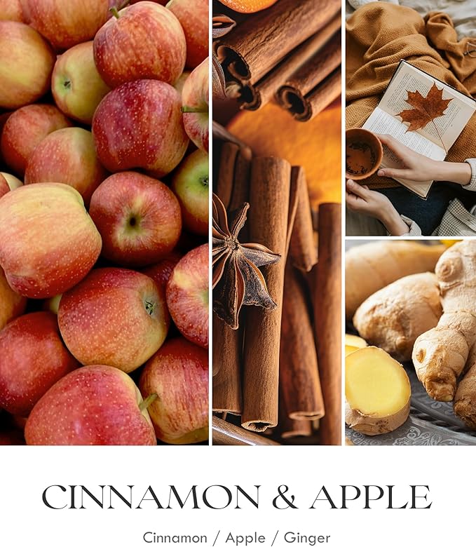 AOOVOO Apple Cinnamon Candles - 9 oz Scented Candles, Aromatherapy Candle, Soy Candle for Home Scented