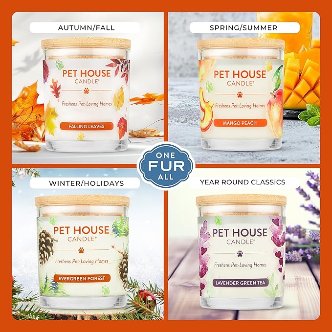 One Fur All Pet House Christmas Candles, Long Lasting, Clean Burning, Soy Wax Scented Candles for Pet Odor, Evergreen Forest