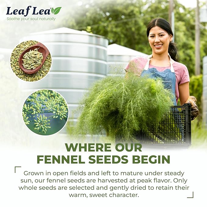 LeafLea 40 Fennel Tea Bags, 100% Natural & Pure Fennel Seed Tea, Gentle Digestion & Fresh Breath, Mild Sweet Finish, Caffeine-Free, Sugar-Free, Vegan, Non-GMO, Individually Wrapped