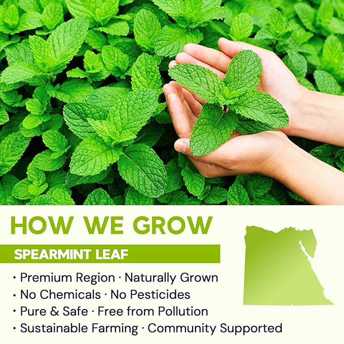 Spearmint Leaf Herbal Tea - Caffeine Free, 40 Tea Bags