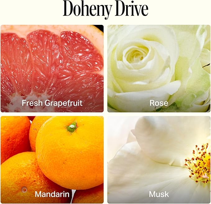 Preston Lane Luxury 3-Wick Scented Candle, Doheny Drive, 24 oz Hand-Poured in USA | Long Burn Time (40–50 Hrs), Vegan Soy Wax Blend, Decorative Ceramic Vessel, Fine Italian Fragrance