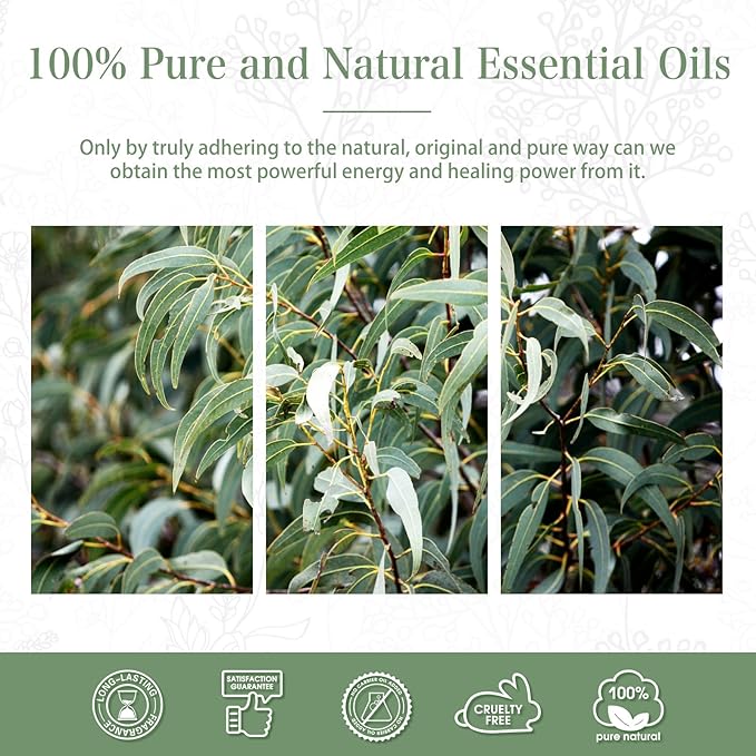 PHATOIL Eucalyptus Essential Oil 30ML, Pure Eucalyptus Essential Oils for Diffuser, Humidifier, Aromatherapy, Perfect for DIY Soap, Candle, Bath Bombs Making