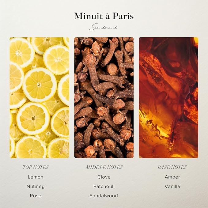 Scentiment Diffuser Oil - Minuit à Paris | Aromatherapy Home Fragrance | Inspired by Luxury Five Star Hotel Scents | Luxurious Scent with Notes of Amber, Sandalwood, Vanilla (500 mL)