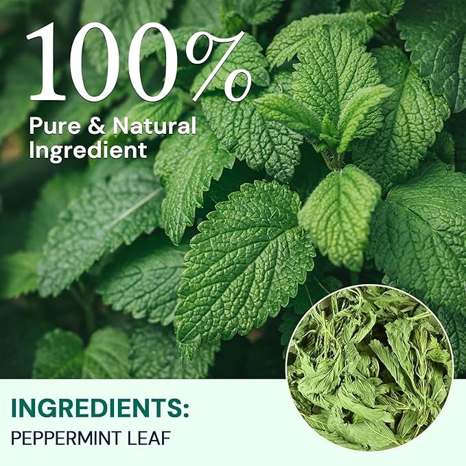 Hiihone Peppermint Tea Bags, 100% Pure Peppermint Leaves, Fresh Minty Herbal Tea, Naturally Caffeine-Free, Non-GMO, Enjoy Hot or Iced, 50 Tea Bags