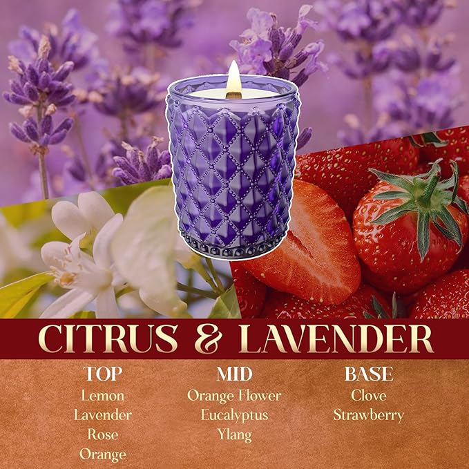 M&SENSE Citrus & Lavender Scented Candle | 16.6oz, 100-Hour Burn | Natural Non-Toxic Soy Wax | Long-Lasting for Mood Healing and Gifting | for Bathroom, Kitchen, Office