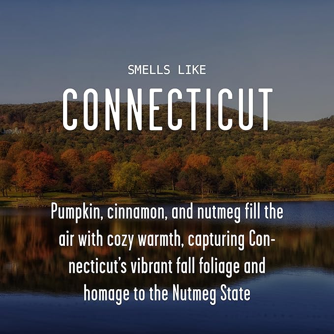 Connecticut Gifts, Connecticut Decor for Home - 'There's No Place Like Connecticut Candle, w/Pumpkin, Cinnamon & Nutmeg I Connecticut Souvenirs I Connecticut State Gifts I 9oz Jar, 50Hr Burn, USA Made