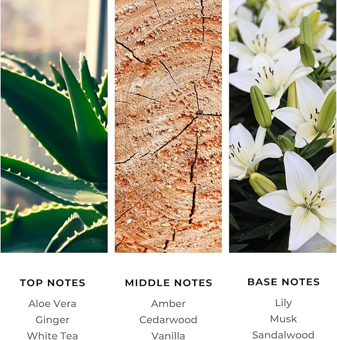 Brilliant Scents Diffuser Oil Refill, Inspired by The Westin Hote, Hotel Series Aroma Scents, Essential Oils Set for Home, Fragrance Oil for Candle Making, Home, 50 ML, La Mar