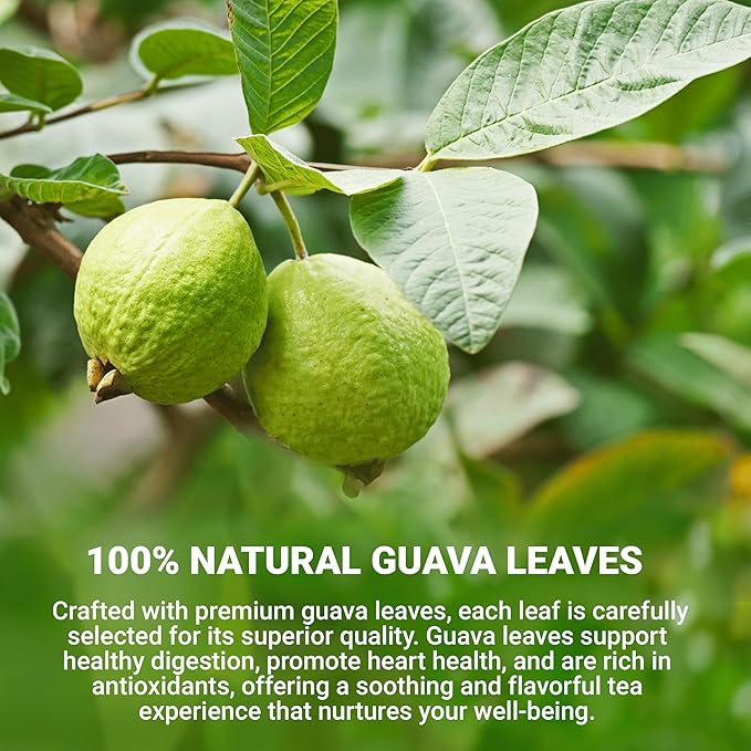 LeafLea Guava Leaf Tea, 40 Individually Wrapped Tea Bags, Made from 100% Natural Guava Leaves (Hojas De Guayaba), Supports Digestion & Wellness, Caffeine-Free, Sugar-Free, Vegan, Non-GMO