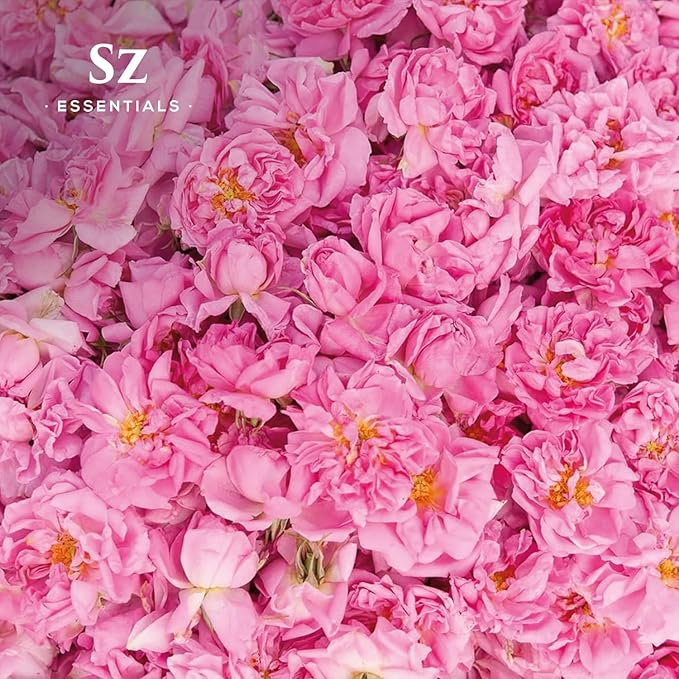 Rose Absolute Essential Oil, 100% Pure and Undiluted - Extracted from Bulgarian Rose (Rosa Damascena) - Rich & Sweet Scent, with Floral Overtones - Therapeutic Grade & Vegan - 0.17oz