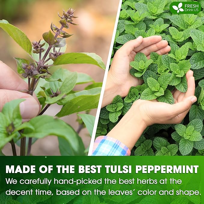 FreshDrinkUS, Premium Tulsi Peppermint Herbal – 30 Tea Bags, 100% Natural, Blend of Tulsi Holy Basil Leaves, and Peppermint Leaves. Made with Natural Material Tea Bags. No Sugar, Vegan.