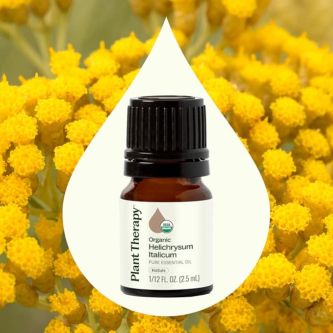 Plant Therapy Organic Helichrysum Italicum Essential Oil for Skin 100% Pure, USDA Certified Organic, Undiluted, Natural Aromatherapy for Diffusion, Therapeutic Grade 2.5 mL (1/12 oz)