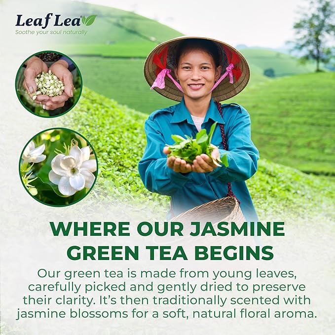LeafLea 80 Jasmine Green Tea Bags, Green Tea with Natural Jasmine Aroma, Light Focus & Daily Balance, Delicate Floral and Smooth Taste, Caffeinated, Sugar-Free, Non-GMO, Vegan, Individually Wrapped