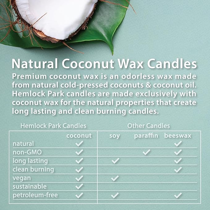 Hemlock Park Wood Wick Candle Handcrafted with Natural Coconut Wax and Essential Oils (Standard 7.2 oz, Bamboo Grapefruit)