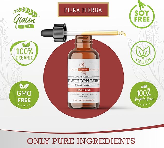 Hawthorn Berry Liquid Extract | Alcohol-Free, Vegan, Non-GMO, Gluten-Free | 2 oz Liquid Herbal Organic Tincture