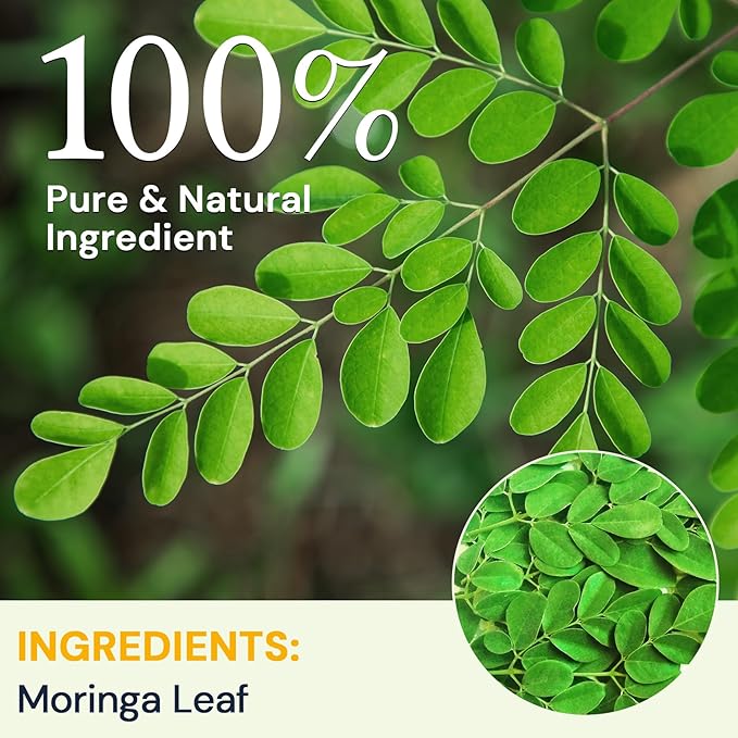 Moringa Leaf Tea - Caffeine Free, 100 Teabags