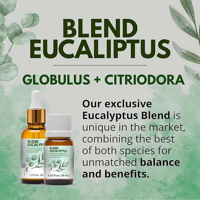 Dual Eucalyptus Essential Oil Blends by One Arome – Eucalyptus Oil (Corymbia Citriodora - Lemon & Eucalyptus Globulus) | Oil for Diffusers, Massage (Dilute) & DIY (Pack of 4 × 0.34 fl oz Each)
