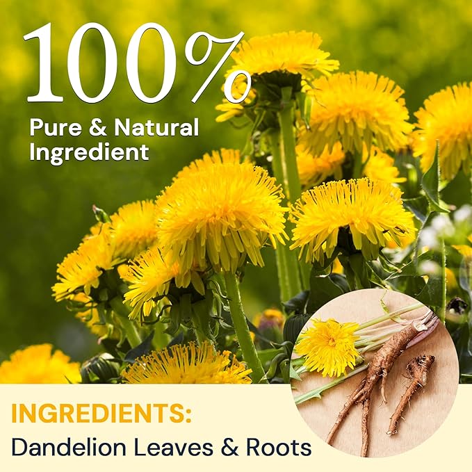 Dandelion Leaf & Root Herbal Tea-Caffeine-free herbal tea，No Sugar，80 Teabags
