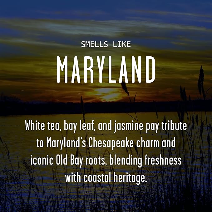 Maryland Gifts, Maryland Decor for Home - 'There's No Place Like Maryland Candle, w/White Tea, Bay Leaf & Jasmine I Maryland Souvenirs I Maryland State Gifts I 9oz Jar, 50Hr Burn, USA Made