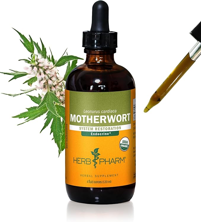 Herb Pharm Certified Organic Motherwort Liquid Extract for Endocrine System Support - 4 Ounce