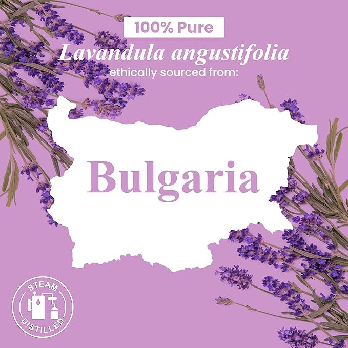 Handcraft Blends Organic Lavender Essential Oil – 1 Fl Oz – 100% Pure and Natural – Premium Grade Essential Oil for Diffuser and Aromatherapy