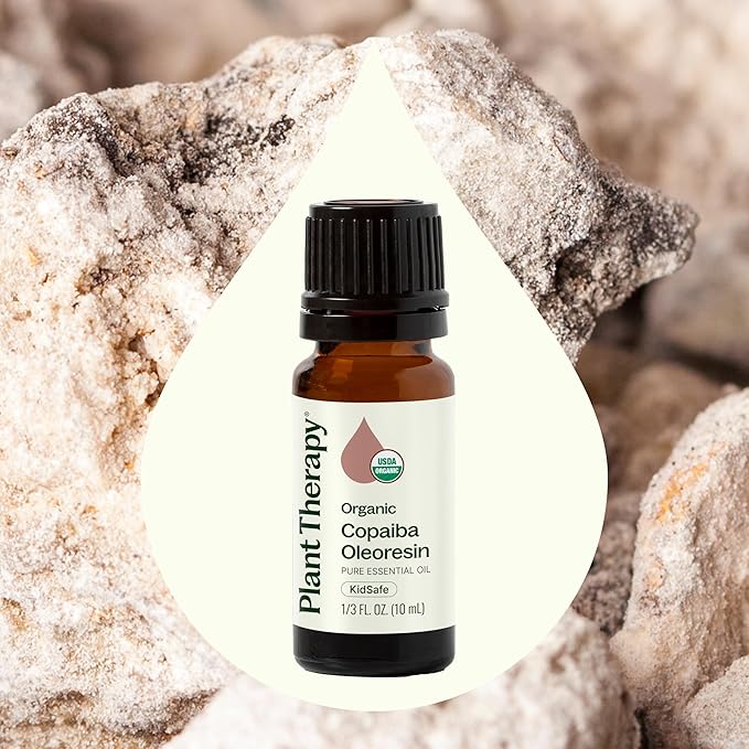 Plant Therapy Copaiba Oleoresin Organic Essential Oil 100% Pure, Undiluted, Natural Aromatherapy for Diffuser & Skin, Therapeutic Grade 10 mL (1/3 oz) Organic Copaiba Oil for Calming, Massage, Candles