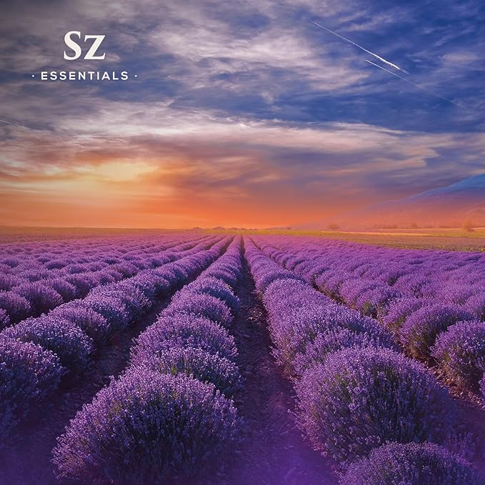 Kashmir Lavender Essential Oil – 100% Pure & Undiluted – Sweet Floral Scent for Relaxation, Aromatherapy, Self-Care, Natural Perfumery – Vegan & Therapeutic – 0.22 fl oz (6.5 mL)